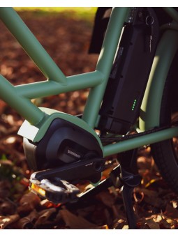 Velo veloe multi longtail