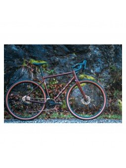 Marin Nicasio 2 2025