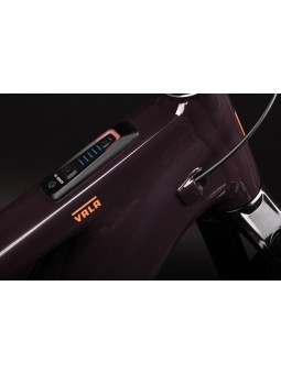 Santa Cruz Vala AL 70